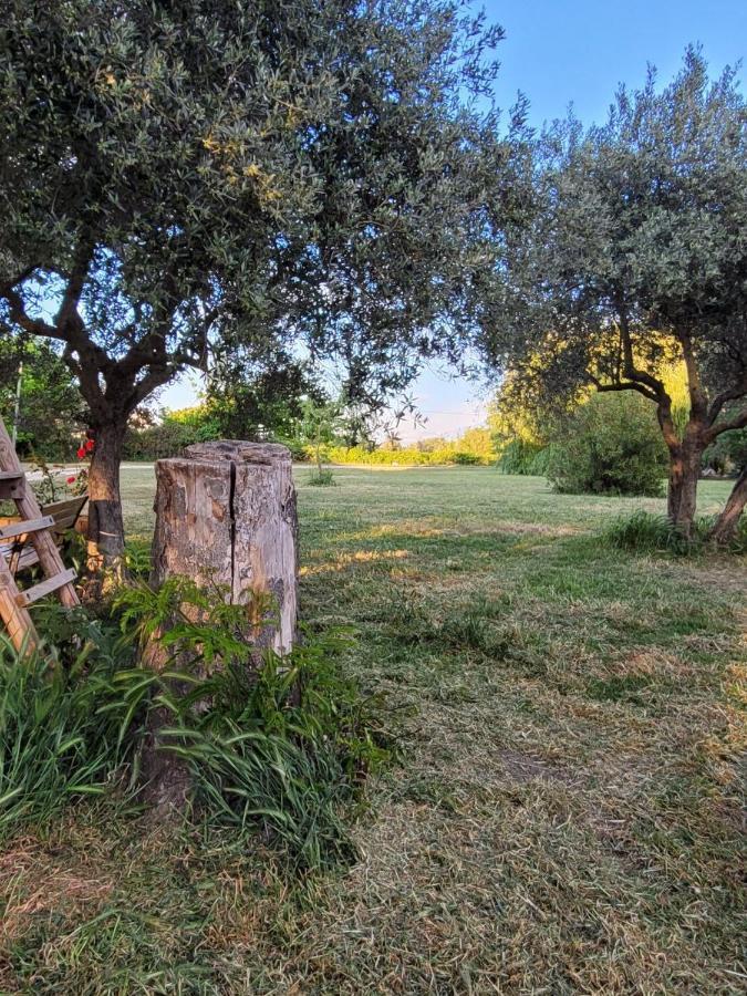 La Ferme Des Escampades Acomodação com café da manhã Monteux Exterior foto